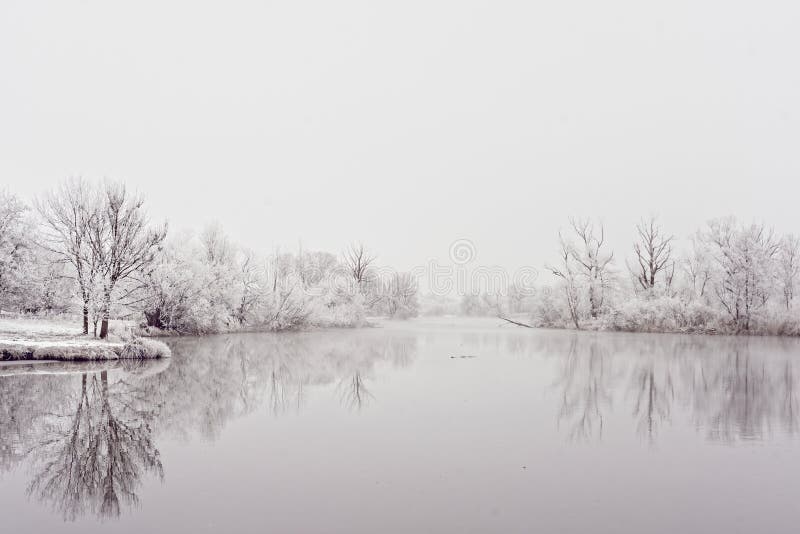 The frozen landscape of the Danube river in Germany, reflecting the surrounding trees on its water surface. A white winter wonderland. The frozen landscape of the Danube river in Germany, reflecting the surrounding trees on its water surface. A white winter wonderland.